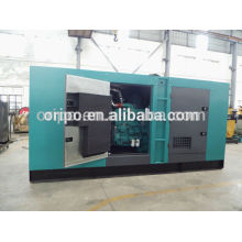 250kw diesel generator for sale philippines with low price and hign quality canopy